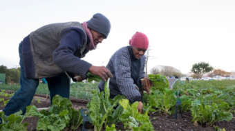 1160124978-1024x1024