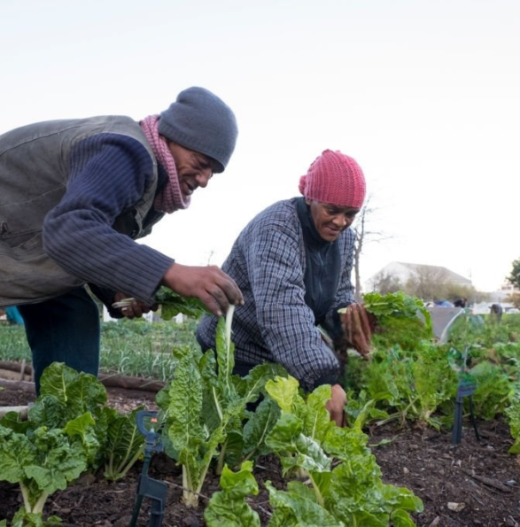 1160124978-1024x1024