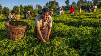 1208165737-1024x1024