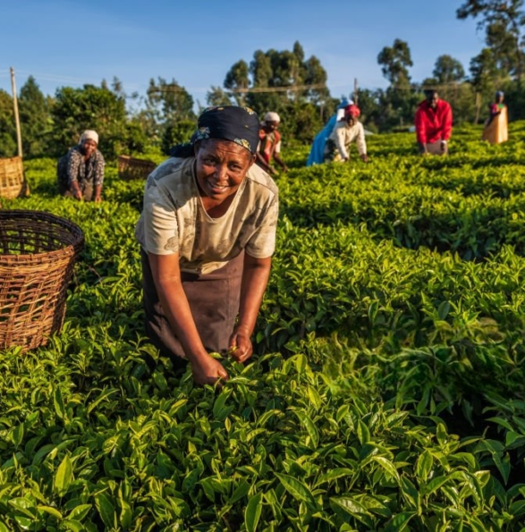 1208165737-1024x1024