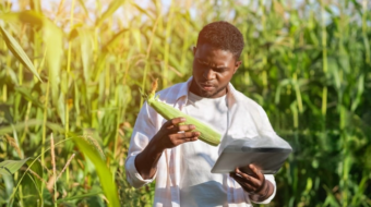 1426672218-1024x1024